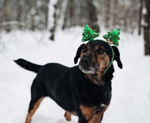 IMG_20260104_205318_259