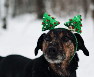 IMG_20260104_205318_329