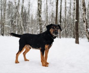 IMG_20260104_205318_501