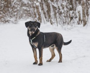 IMG_20260205_161507_467