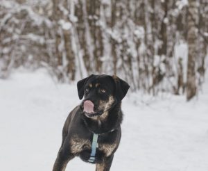 IMG_20260205_161507_947