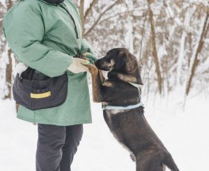 IMG_20260205_161609_435