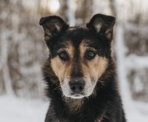 IMG_20260205_212838_573