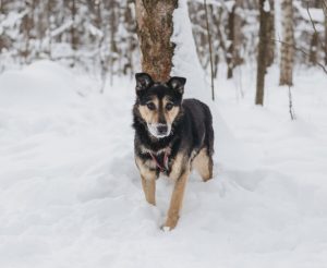 IMG_20260205_212838_675