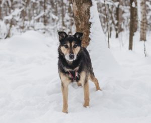 IMG_20260205_212838_790