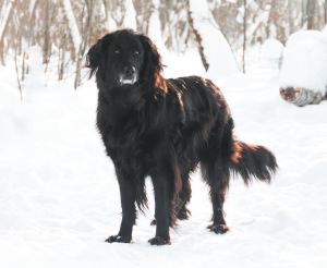 IMG_3072