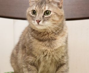 IMG_3478