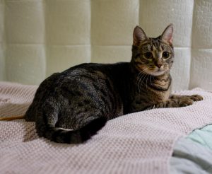 IMG_4805