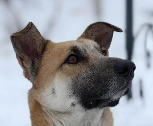 IMG_9182