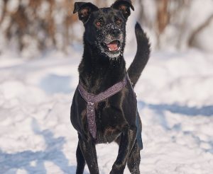 КраснаяСосна_Тата3