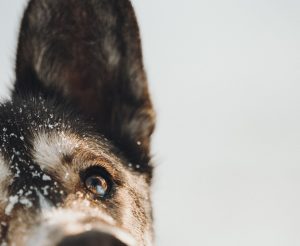 ntgD8bMO9F7OjOoSny_ZYg