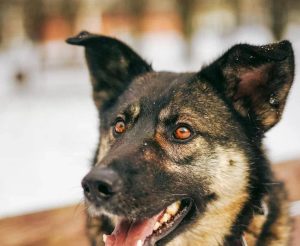 photo_1_2026-01-22_22-18-30