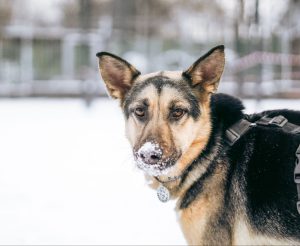 photo_1_2026-02-08_20-53-35