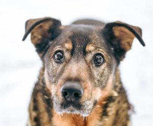 photo_1_2026-02-08_20-54-31