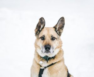 photo_1_2026-02-08_20-55-08