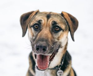 photo_1_2026-02-08_20-56-01