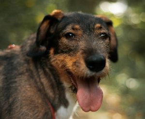 photo_2025-10-07_16-02-19