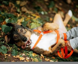 photo_2025-10-07_16-02-24