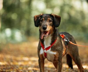 photo_2025-10-07_16-02-26