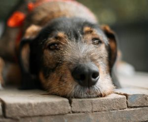 photo_2025-10-07_16-02-30