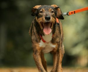 photo_2025-10-07_16-02-32