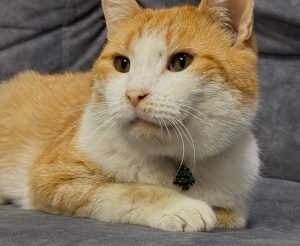 photo_2025-12-16 18.06.43