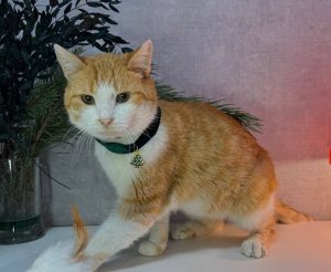 photo_2025-12-16 18.06.47