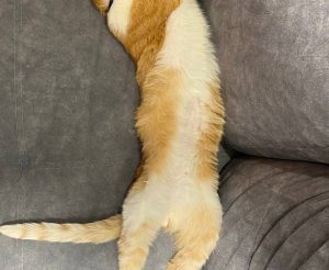 photo_2025-12-16 18.06.53