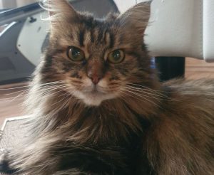 photo_2025-12-23_21-06-56