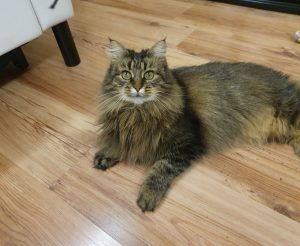 photo_2025-12-23_21-07-18