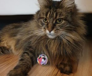 photo_2025-12-23_21-07-21