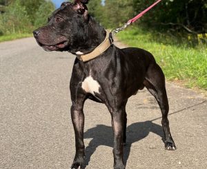 photo_2026-01-12_06-42-54