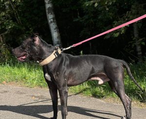 photo_2026-01-12_06-42-58