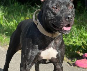 photo_2026-01-12_06-42-59