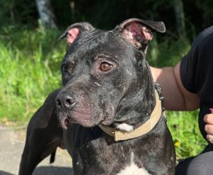 photo_2026-01-12_06-43-03