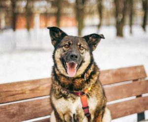 photo_2_2026-01-22_22-18-30