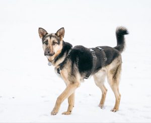 photo_2_2026-02-08_20-53-35