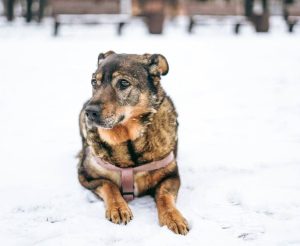 photo_2_2026-02-08_20-54-31