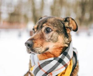 photo_3_2026-02-08_20-54-31