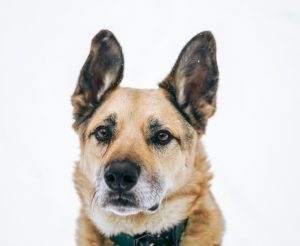 photo_3_2026-02-08_20-55-08