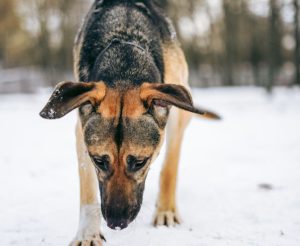 photo_3_2026-02-08_20-56-01