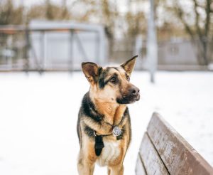 photo_4_2026-02-08_20-53-35