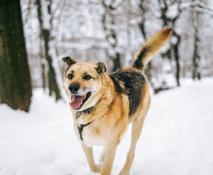 photo_4_2026-02-08_20-55-08