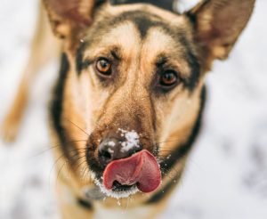 photo_5_2026-02-08_20-53-35