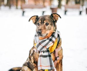 photo_5_2026-02-08_20-54-31