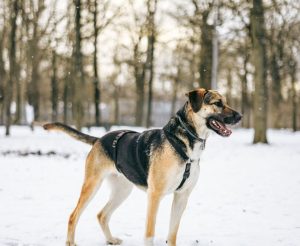 photo_5_2026-02-08_20-56-01