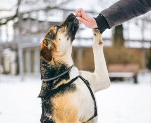 photo_6_2026-02-08_20-56-01