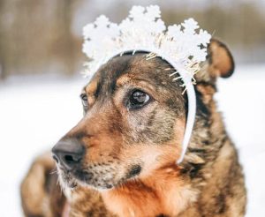 photo_7_2026-02-08_20-54-31