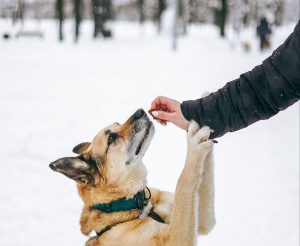 photo_7_2026-02-08_20-55-08