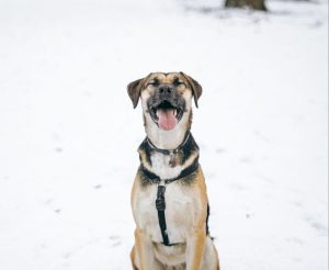 photo_7_2026-02-08_20-56-01